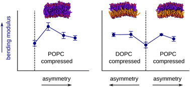 Graphical abstract: Elucidating the mechanical properties of asymmetric membranes by direct derivation of their energetics
