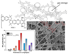 Graphical abstract: Enhancing the electroreduction of N2 and/or O2 on MoS2 using a nanoparticulate intrinsically microporous polymer (PIM-1)