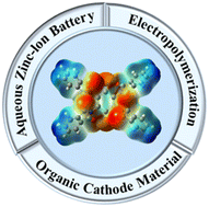 Graphical abstract: Towards ultra-stable aqueous zinc-ion batteries via electrochemical polymerization of phthalimido-anchored benzoquinone