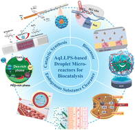 Graphical abstract: Aqueous liquid–liquid phase separation (AqLLPS) droplet microreactors for biocatalysis