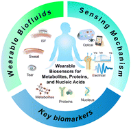 Graphical abstract: Wearable biosensors for disease diagnostics and health monitoring: recent progress and emerging technologies