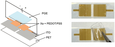 Graphical abstract: Enhanced colour modulation in printed electrochromic pixels via optimization of a polymer gel electrolyte