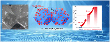 Graphical abstract: Modulation of the photocatalytic activity of MAPbI3 crystals via Nb2CTx MXenes for high-efficiency photocatalytic hydrogen production