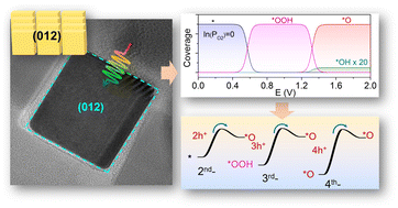 Graphical abstract: Potential-driven reaction order transitions of water oxidation on hematite photoanodes