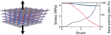 Graphical abstract: Understanding the structural mechanics of ligated DNA crystals via molecular dynamics simulation