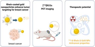 Graphical abstract: I-124 Labeled Rhein-coated gold nanoparticles for targeted breast cancer