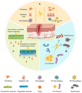 Graphical abstract: Integrating piezoelectric dressings with botanicals as emerging smart dressings for diabetic wound healing