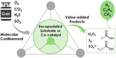 Graphical abstract: Gas transformations within metal–organic cages