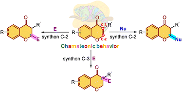 Graphical abstract: Organocatalysed C-2 and C-3 functionalisation of chromones