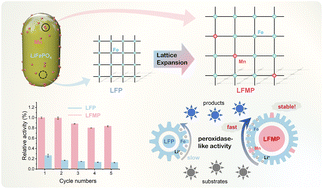 Graphical abstract: Modulating ion migration realizes both enhanced and long-term-stable nanozyme activity for efficient microplastic degradation