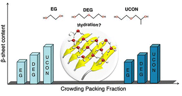 Graphical abstract: Impact of crowder size, hydrophobicity, and hydration on the structure of amyloid-β oligomers