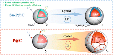 Graphical abstract: An in situ derived alloy phase stabilizes the phosphorus/carbon interface for high-performance lithium-ion battery anodes
