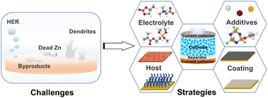 Graphical abstract: Recent advances in material regulation and structure design for high-performance aqueous anode-free zinc batteries