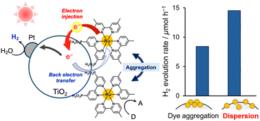 Graphical abstract: Visible-light H2 evolution using dye-sensitized TiO2: effects of physicochemical properties of TiO2 on excited carrier dynamics and activity