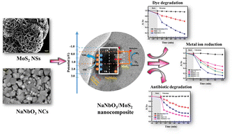 Graphical abstract: Improved piezo-catalysis through integration of dual-active semiconductors in a NaNbO3/MoS2 heterojunction for degradation of rhodamine B dye and ofloxacin antibiotic, and Cr(vi) reduction