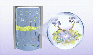 Graphical abstract: A polyoxometalate-anchored Ni MOF for high-efficiency, selective H2O2 electrosynthesis