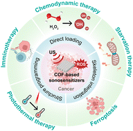 Graphical abstract: Ultrasound-responsive nanoweapons: covalent organic frameworks for cancer sonodynamic therapy