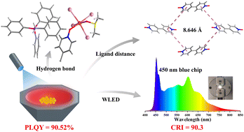 Graphical abstract: A Bi(iii)-based halide with near-unity photoluminescence quantum yield as a blue-light-excited red phosphor for WLEDs