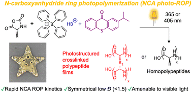 Graphical abstract: Photobase generators for amino acid N-carboxyanhydride ring-opening photopolymerization: rapid access to degradable polypeptide-based networks