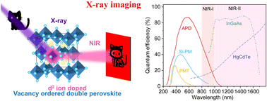 Graphical abstract: d2 ion-doped vacancy-ordered double perovskites as broadband NIR scintillators for radiation detection