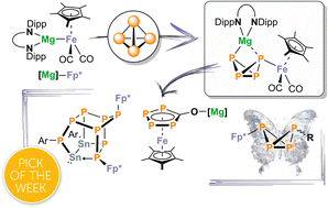 Graphical abstract: Selective white phosphorus activation and functionalization with inorganic Grignard reagents