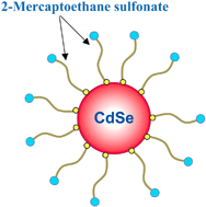 Graphical abstract: Photoactivated luminescent CdSe quantum dots as sensitive cyanide probes in aqueous solutions