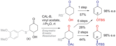 Graphical abstract: The thio-adduct facilitated, enzymatic kinetic resolution of 4-hydroxycyclopentenone and 4-hydroxycyclohexenone