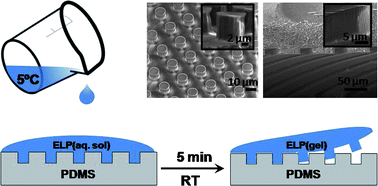 Graphical abstract: Rapid micropatterning by temperature-triggered reversible gelation of a recombinant smart elastin-like tetrablock-copolymer