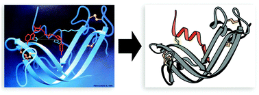Graphical abstract: Ribonuclease S redux