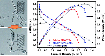 Graphical abstract: Polypropylene-grafted multi-walled carbon nanotube reinforced polypropylene composite bipolar plates in polymer electrolyte membrane fuel cells