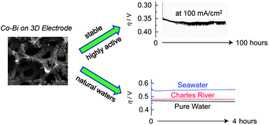 Graphical abstract: Highly active cobalt phosphate and borate based oxygen evolving catalysts operating in neutral and natural waters