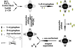 Graphical abstract: A facile enantioseparation for amino acids enantiomers using β-cyclodextrins functionalized Fe3O4 nanospheres