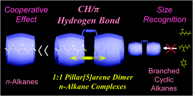 Graphical abstract: Selective complexation of n-alkanes with pillar[5]arene dimers in organic media