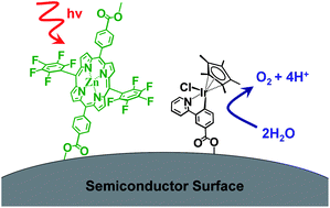 Graphical abstract: A visible light water-splitting cell with a photoanode formed by codeposition of a high-potential porphyrin and an iridium water-oxidation catalyst