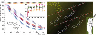 Graphical abstract: Injectable biodegradable polymeric system for preserving the active form and delayed-release of camptothecin anticancer drugs