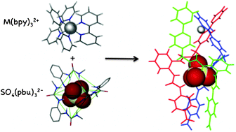 Graphical abstract: Ion-pair triple helicates and mesocates self-assembled from ditopic 2,2′-bipyridine-bis(urea) ligands and Ni(ii) or Fe(ii) sulfate salts