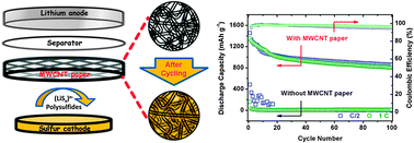 Graphical abstract: A new approach to improve cycle performance of rechargeable lithium–sulfur batteries by inserting a free-standing MWCNT interlayer