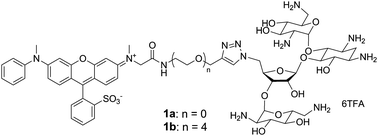 Graphical abstract: A strategy to enhance the binding affinity of fluorophore–aptamer pairs for RNA tagging with neomycin conjugation