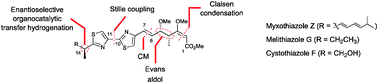 Graphical abstract: Catalysis-based enantioselective total synthesis of myxothiazole Z, (14S)-melithiazole G and (14S)-cystothiazole F