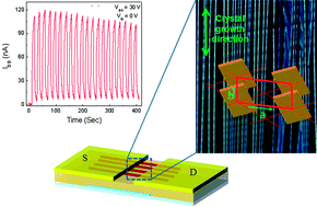Graphical abstract: Organic phototransistors based on solution grown, ordered single crystalline arrays of a π-conjugated molecule