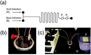 Graphical abstract: Education: a microfluidic platform for university-level analytical chemistry laboratories