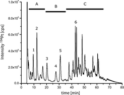 Graphical abstract: On the complexity and dynamics of in vivo Cisplatin–DNA adduct formation using HPLC/ICP-MS