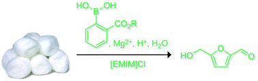 Graphical abstract: Organocatalytic conversion of cellulose into a platform chemical
