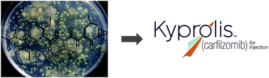 Graphical abstract: From epoxomicin to carfilzomib: chemistry, biology, and medical outcomes