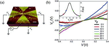 Graphical abstract: Gate tunable nonlinear rectification effects in three-terminal graphene nanojunctions
