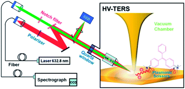 Graphical abstract: Molecular resonant dissociation of surface-adsorbed molecules by plasmonic nanoscissors