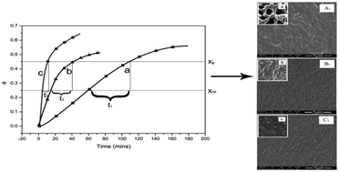 Graphical abstract: Reaction induced phase separation in a bisphenol A-aniline benzoxazine/N,N′-(2,2,4-trimethylhexane-1,6-diyl)bis(maleimide)/imidazole blend: the effect of initial curing temperature on morphology and properties