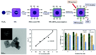 Graphical abstract: Multifunctional photosensitizer-conjugated core–shell Fe3O4@NaYF4:Yb/Er nanocomplexes and their applications in T2-weighted magnetic resonance/upconversion luminescence imaging and photodynamic therapy of cancer cells