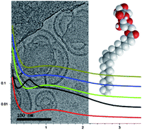 Graphical abstract: Nanostructured aqueous dispersions of citrem interacting with lipids and PEGylated lipids