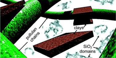 Graphical abstract: Self-assembled nanostructured biohybrid coatings by an integrated ‘sol–gel/intercalation’ approach